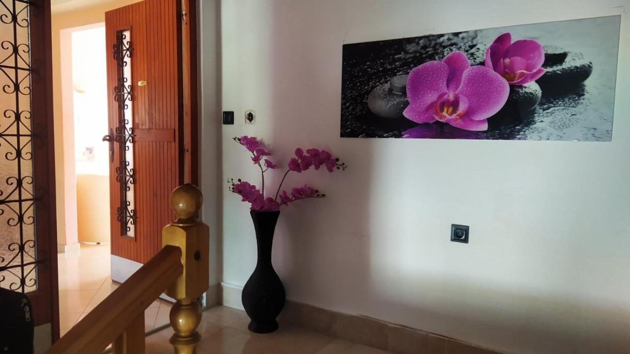 Villa Goda Tučepi Exteriör bild